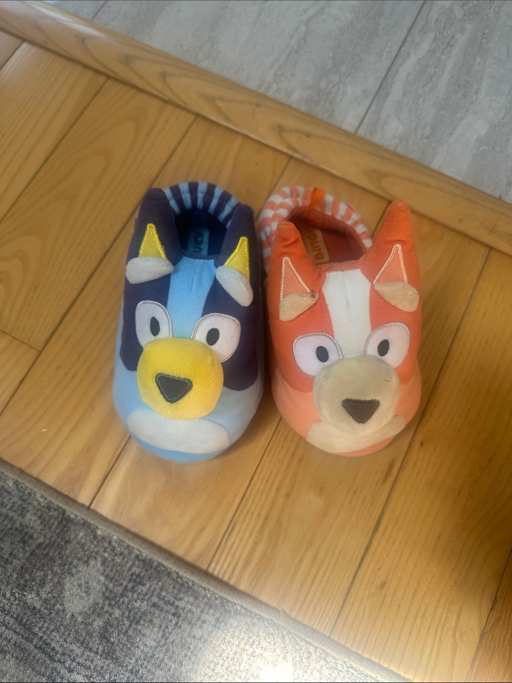 Bluey & Bingo Slippers for Kids